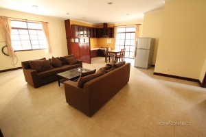 Large 1 bedroom apartment in BKK1