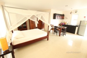 Well appointed 1 bedroom located in BKK1 | Phnom Penh