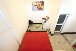 Large Terrace 2 Bedroom Apartment Near Central Market | Phnom Penh