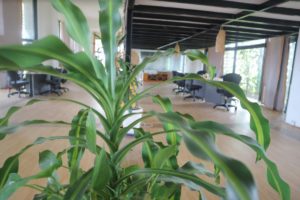Modern Office Space For Rent In Chroy Chongva | Phnom Penh Real Estate