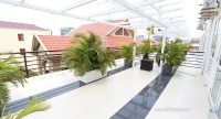 Large Terrace 1 Bedroom Apartment Near Russian Market | Phnom Penh Real Estate