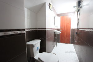 Budget 2 Bedroom 3 Bathroom Apartment for Rent in BKK1 | Phnom Penh Real Estate